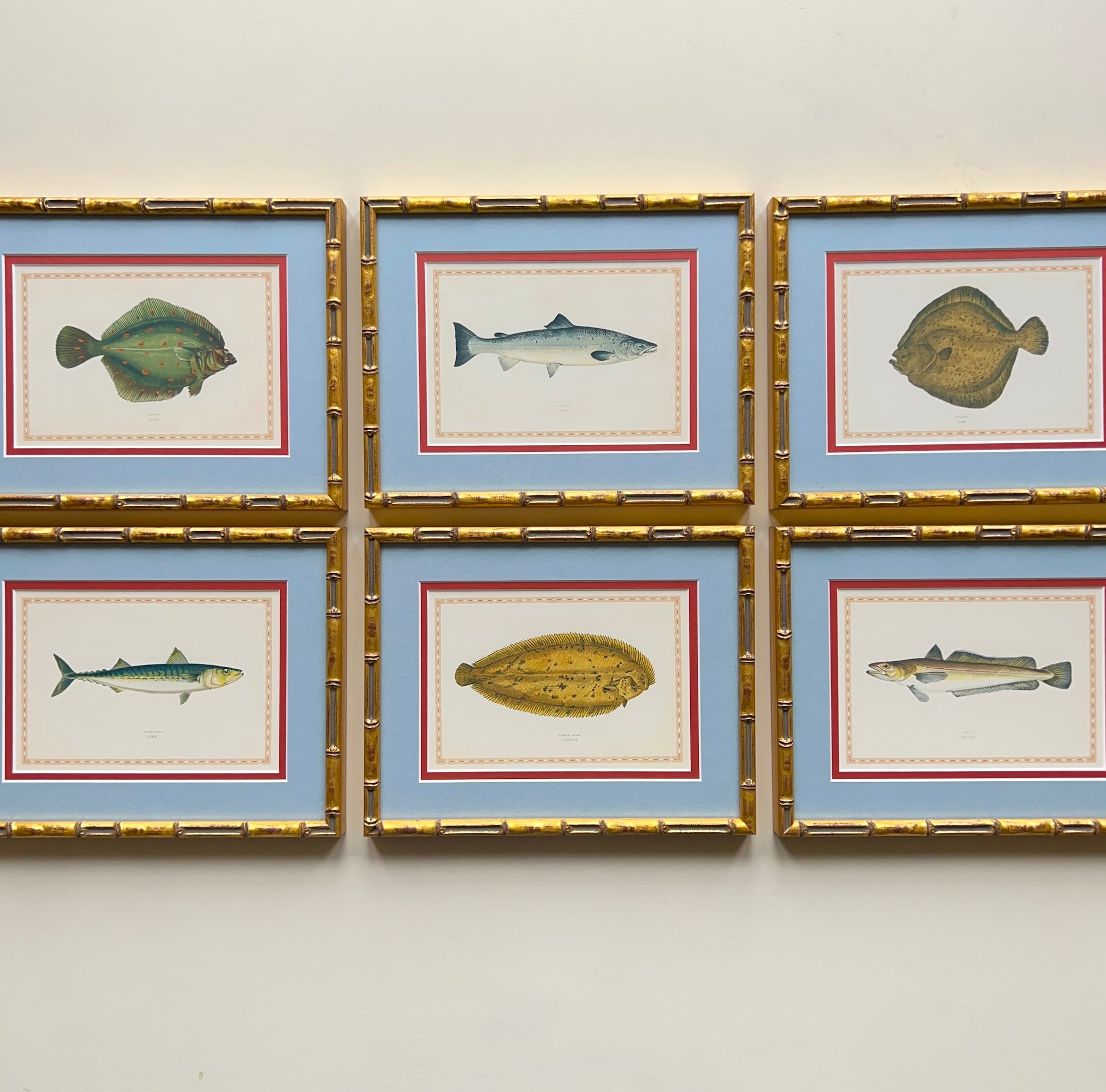 Vintage Fish Display 