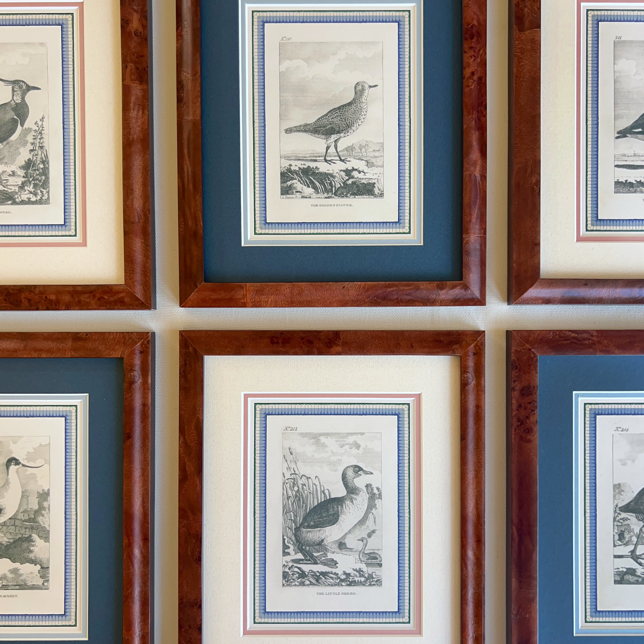 The Marsh & Shorebirds
